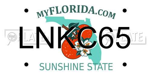 LNKC65 Florida License Plate