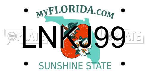 LNKJ99 Florida License Plate