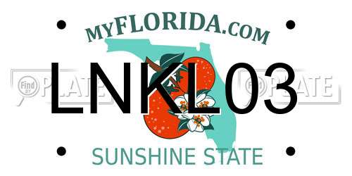 LNKL03 Florida License Plate