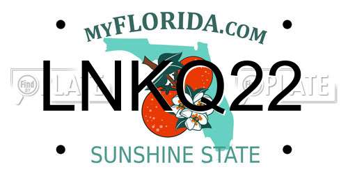 LNKQ22 Florida License Plate