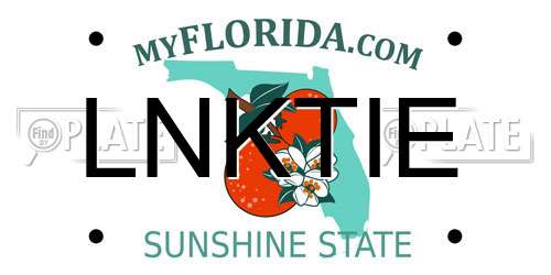 LNKTIE Florida License Plate
