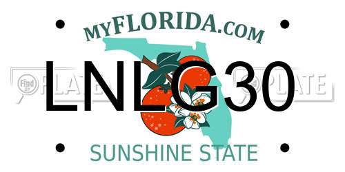 LNLG30 Florida License Plate