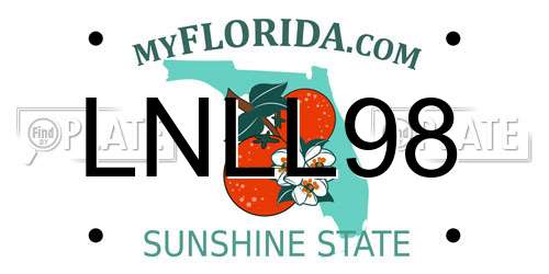 LNLL98 Florida License Plate