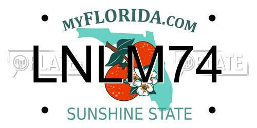 LNLM74 Florida License Plate