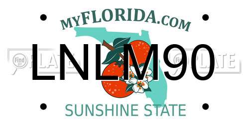 LNLM90 Florida License Plate