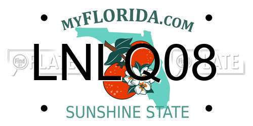 LNLQ08 Florida License Plate