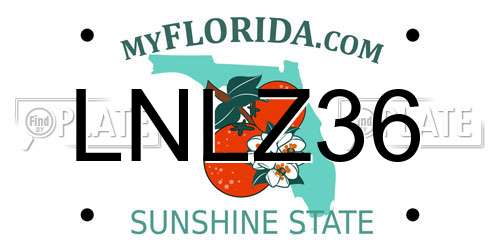 LNLZ36 Florida License Plate