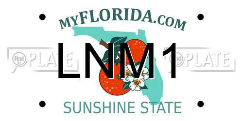 LNM1 Florida License Plate