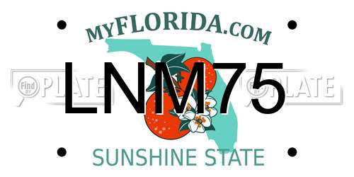 LNM75 Florida License Plate