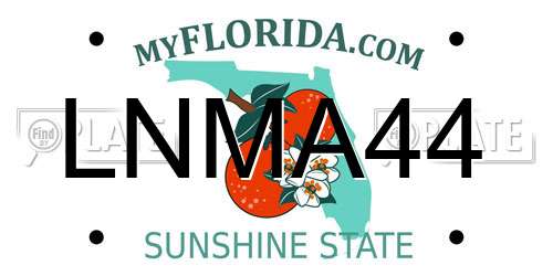 LNMA44 Florida License Plate