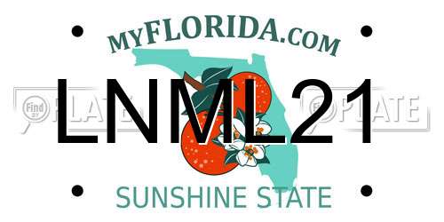 LNML21 Florida License Plate