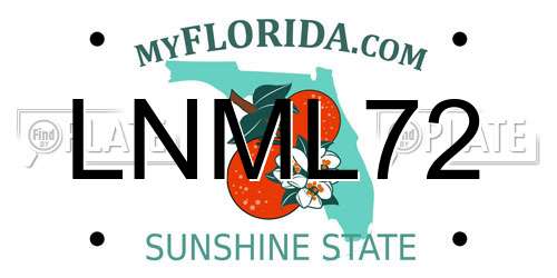 LNML72 Florida License Plate