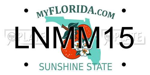 LNMM15 Florida License Plate