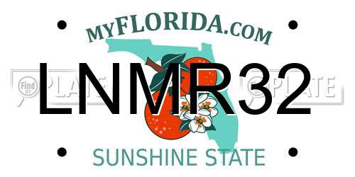 LNMR32 Florida License Plate