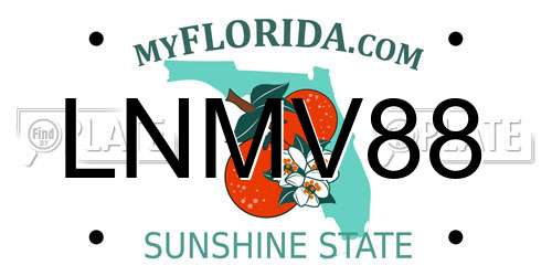 LNMV88 Florida License Plate