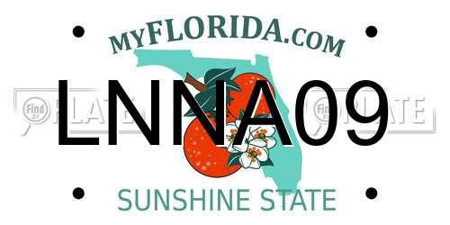 LNNA09 Florida License Plate