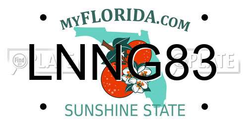 LNNG83 Florida License Plate