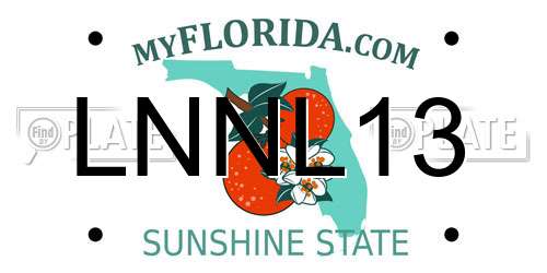 LNNL13 Florida License Plate