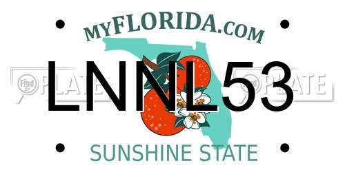 LNNL53 Florida License Plate