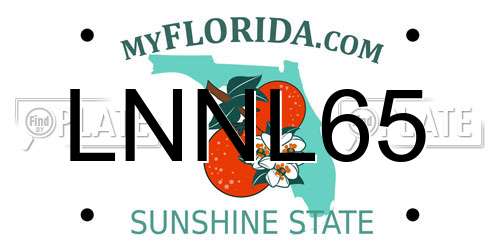 LNNL65 Florida License Plate