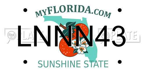 LNNN43 Florida License Plate