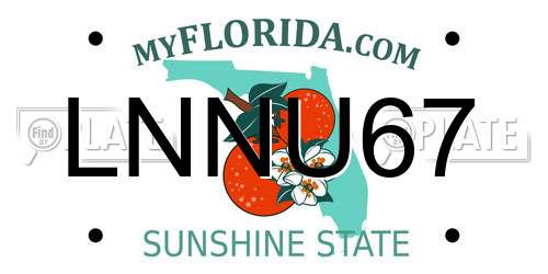 LNNU67 Florida License Plate