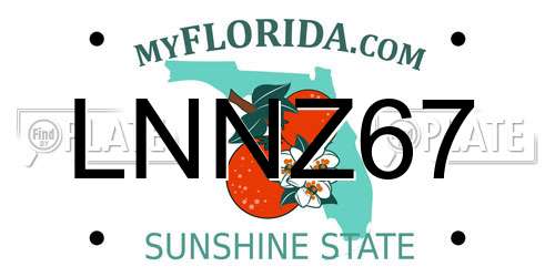 LNNZ67 Florida License Plate