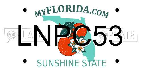 LNPC53 Florida License Plate