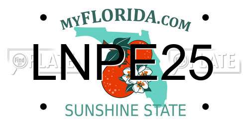 LNPE25 Florida License Plate