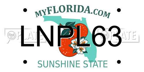 LNPL63 Florida License Plate