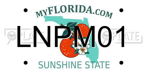 LNPM01 Florida License Plate