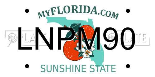 LNPM90 Florida License Plate