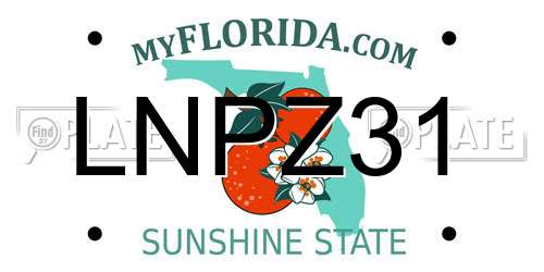 LNPZ31 Florida License Plate