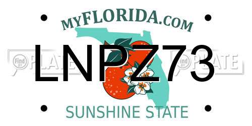 LNPZ73 Florida License Plate