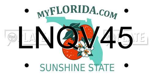 LNQV45 Florida License Plate