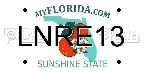 LNRE13 Florida License Plate