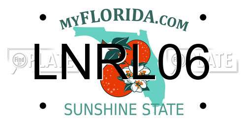 LNRL06 Florida License Plate