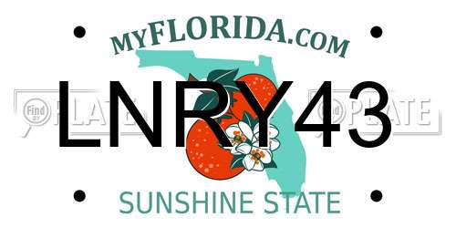 LNRY43 Florida License Plate