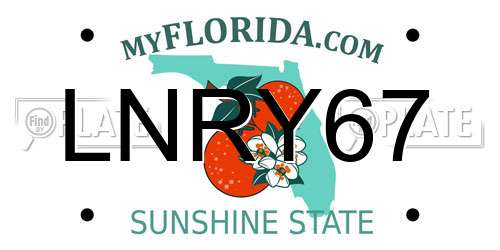 LNRY67 Florida License Plate