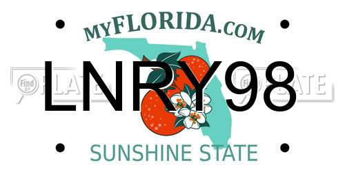 LNRY98 Florida License Plate