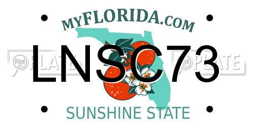 LNSC73 Florida License Plate