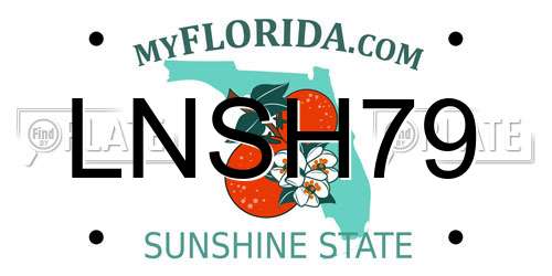 LNSH79 Florida License Plate