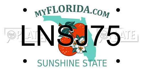 LNSJ75 Florida License Plate