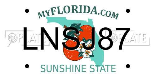 LNSJ87 Florida License Plate