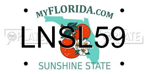 LNSL59 Florida License Plate
