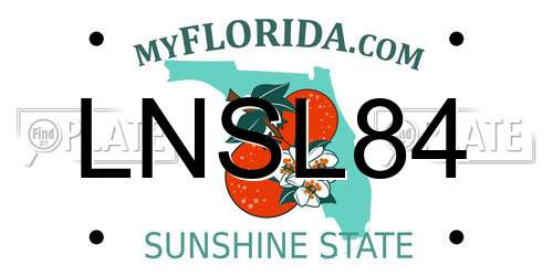 LNSL84 Florida License Plate