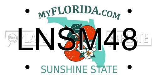 LNSM48 Florida License Plate