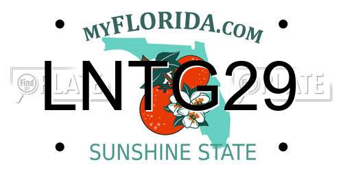 LNTG29 Florida License Plate