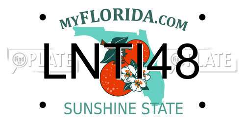 LNTI48 Florida License Plate