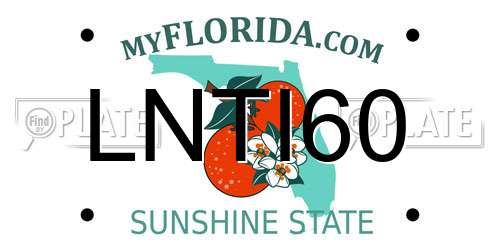 LNTI60 Florida License Plate